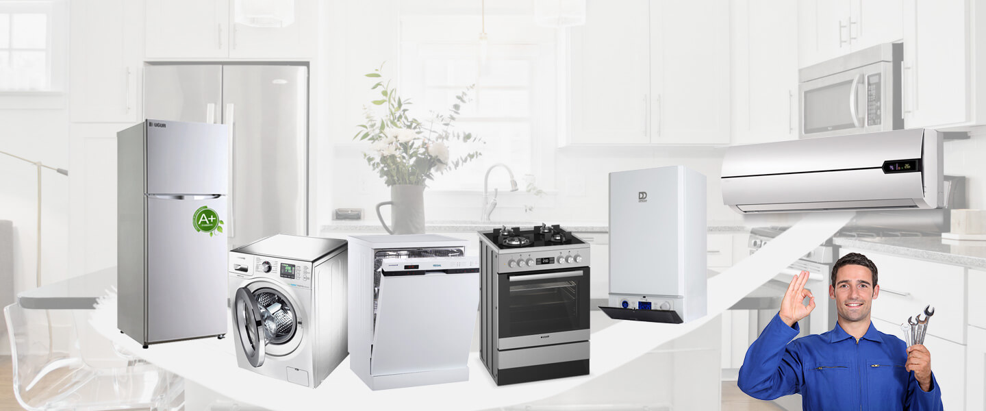 Alacakaya Smeg Servisi